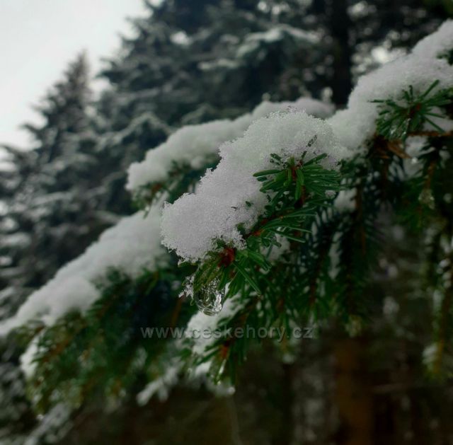 Zimní krása přírody