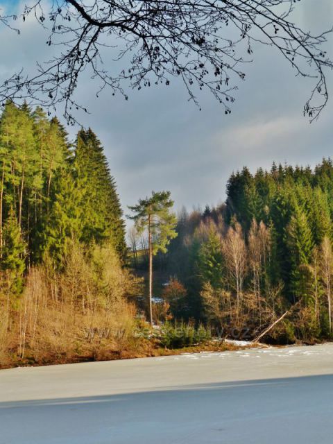 Písečná - rybník v Šušku