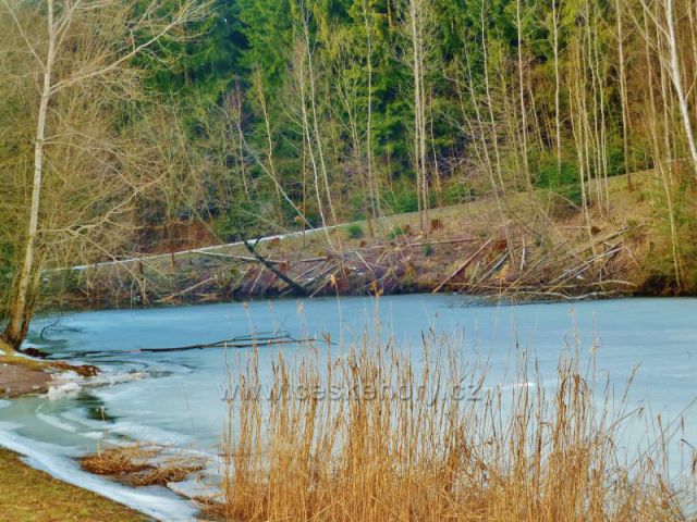 Písečná - Hnátnická zátoka rybníku v Šušku