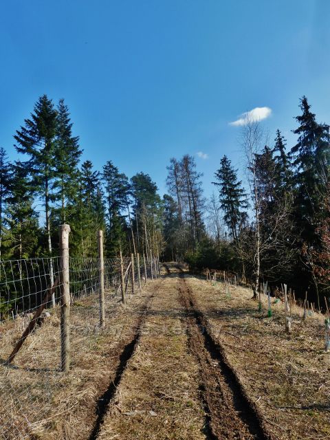 Písečná - "hřebenovka" na návrší Húra