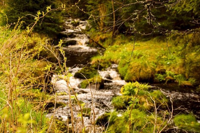 Naučná stezka kaskády potoka