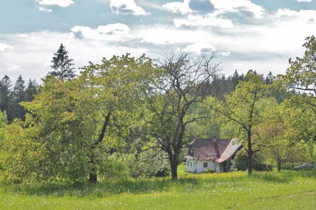 Letohrad - chalupa v Pustinách