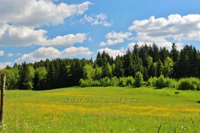 Letohrad - pastvina v Pustinách