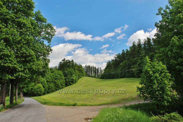 Letohrad - pohled k vrchu Mechnáč