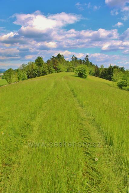 Písečná - pastvina na hřebenu vrchu Hůra