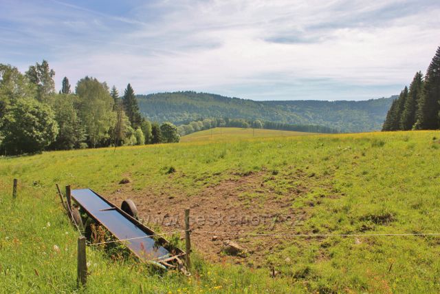 Napajedlo na neratovských pastvinách