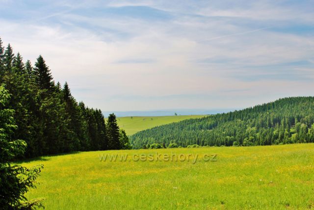 Pohled od turistického rozcestníku Vysoký kořen