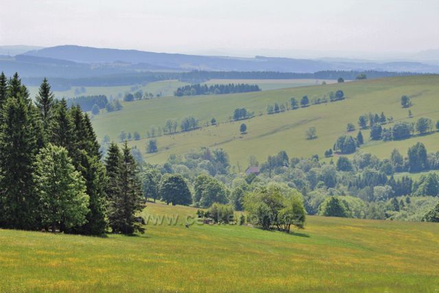 Pastviny nad Vrchní Orlicí