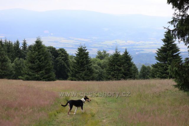 výhled z Polska na kralický sněžník