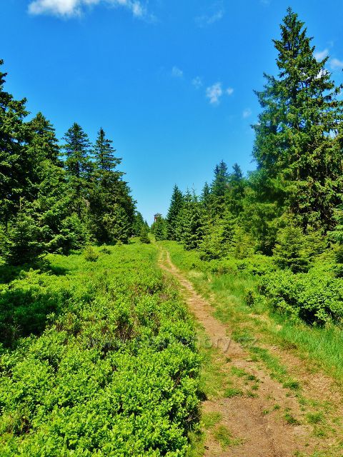 Hraniční stezka k rozhledně Vrchmezí