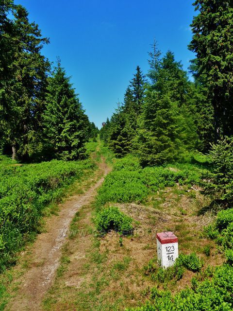 Hraniční stezka k rozhledně Vrechmezí