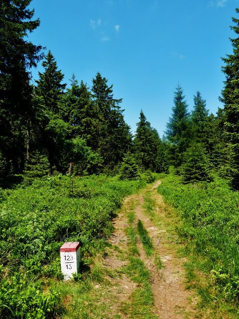 Hraniční stezka k rozhledně Vrchmezí