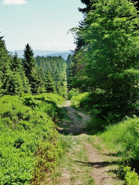 Hraniční stezka na Vrchmezí