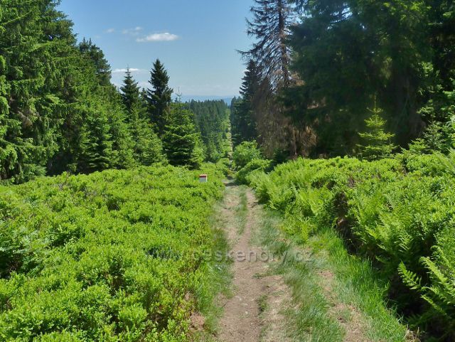 Hraniční stezka na Vrchmezí