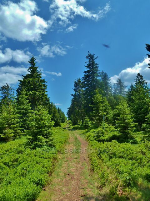 Hraniční stezka od vrcholu Zielony Grab k Masarykově chatě