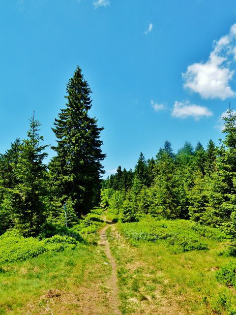 Hraniční stezka k Masarykově chatě