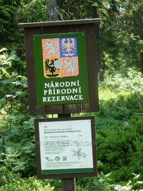 Tabulka NPR Bukačka u hraniční stezky k Masarykově chatě