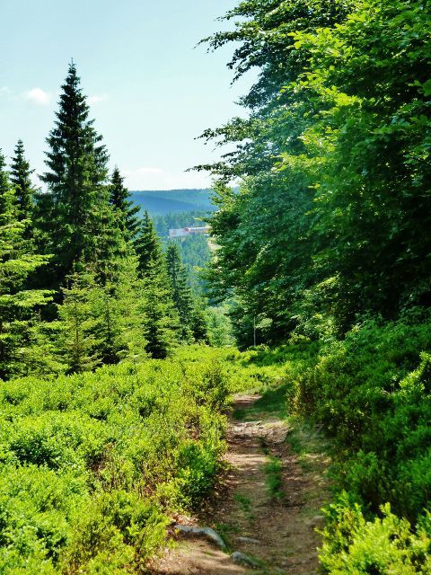 Hraniční stezka podél NPR Bukačka