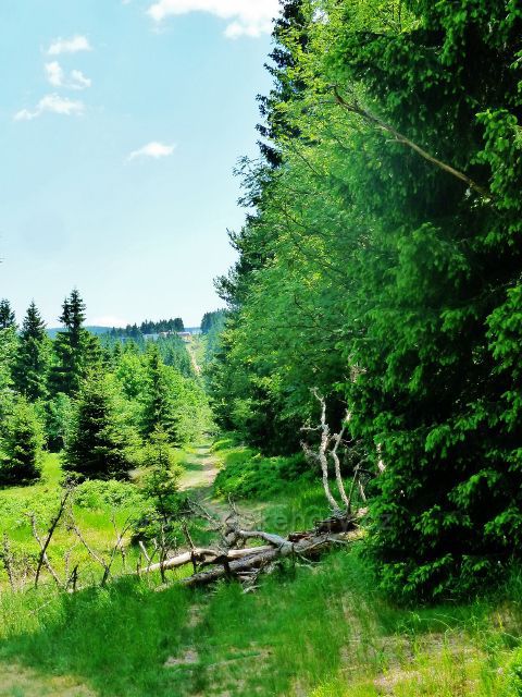 Hraniční stezka podél NPR Bukačka