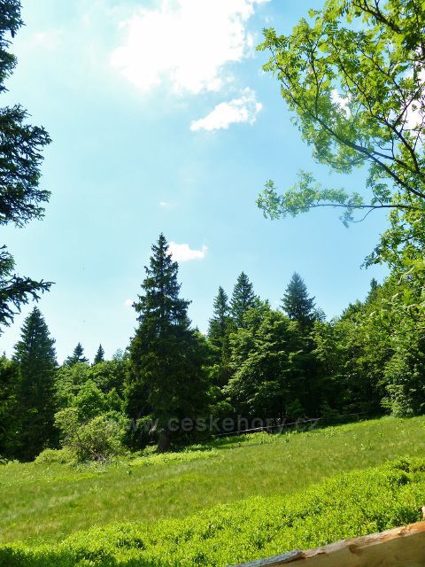 Lesní loučka v NPR Bukačka