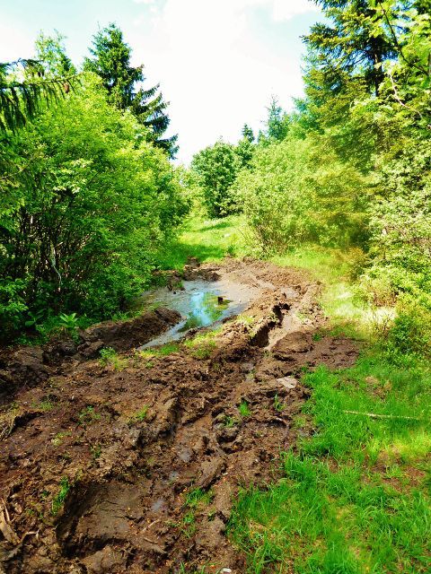 Hraniční stezka pod NPR Bukačka