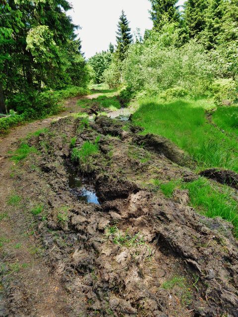 Hraniční stezka pod NPR Bukačka