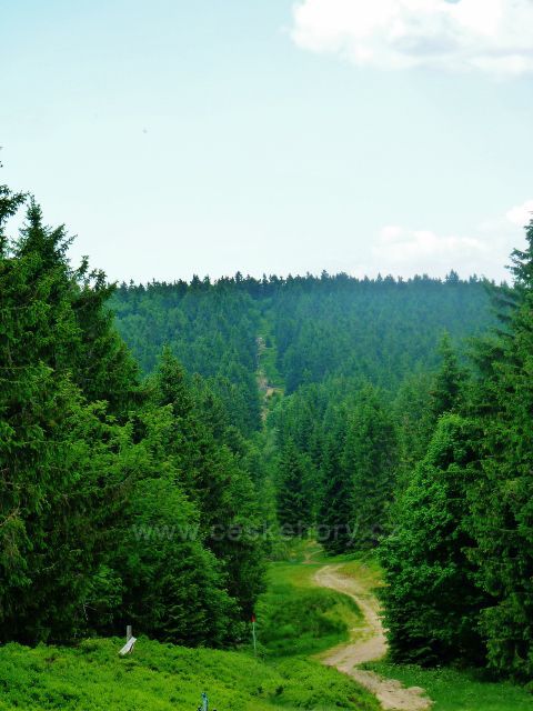 Šerlich - pohled na hraniční stezku k Vrchmezí