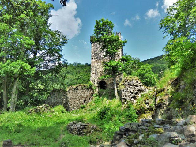 Zřícenina hradu Rýzmburk