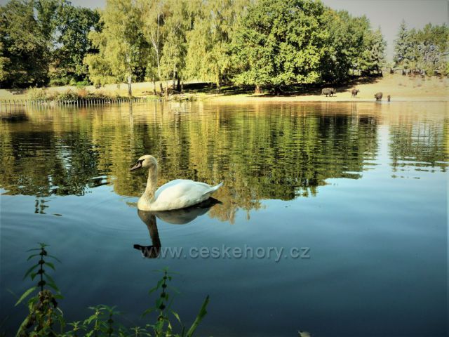 Zoopark Chomutov
- podzim se zrcadlí na rybníce