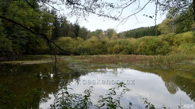 Libchavy, rybníky poblíž myslivecké chaty
