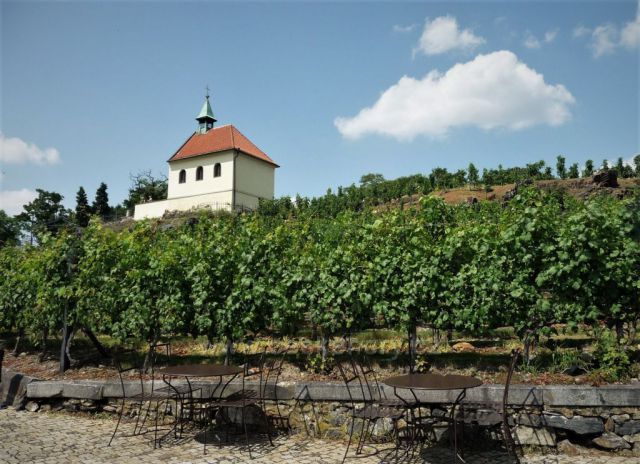 Kaple a vinice sv. Kláry