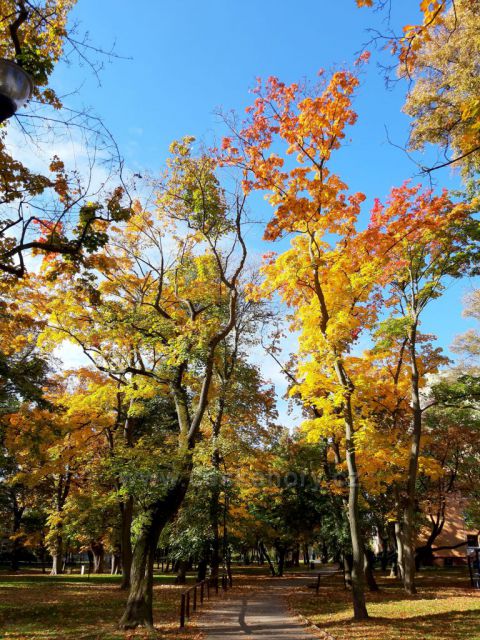 Litvínov, podzim v zámeckém parku