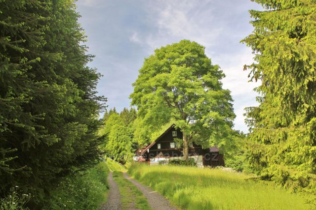 Neratov - chalupa u cesty na Vysoký kořen