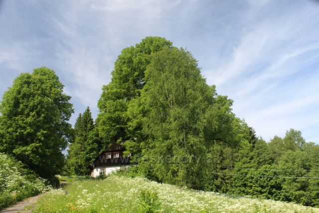 Neratov - chalupa u cesty na Vysoký kořen