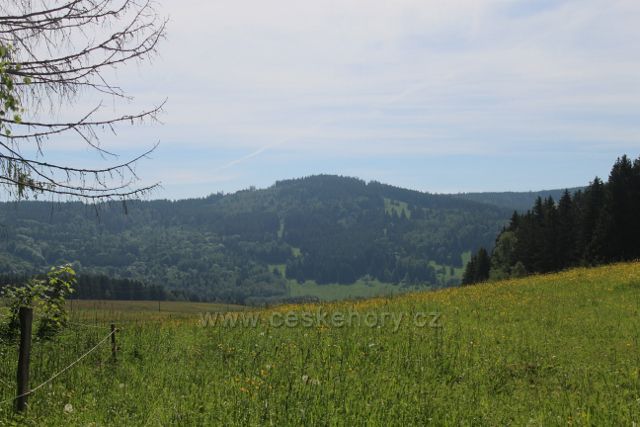 Neratov - pohled na polský vrch Gniewocz (850 m.n.m.)