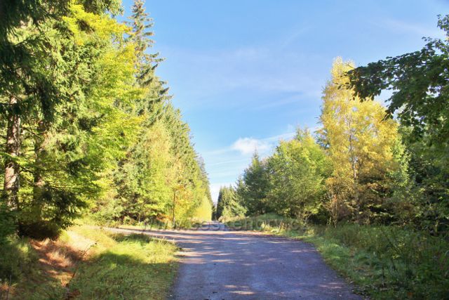 Rozcestí Nad Sršňovkou