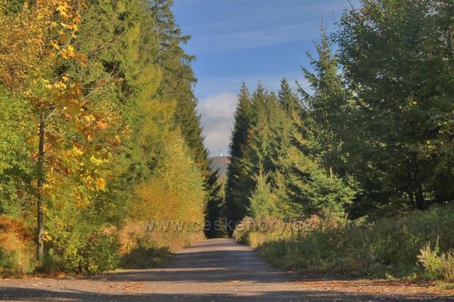 Průhled z rozcestí Nad Sršňovkou na rozhlednu na Králickém Sněžníku