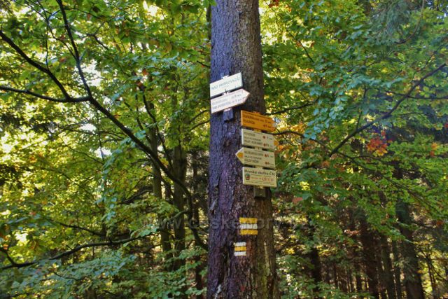 Turistický rozcestník Nad Sršňovkou