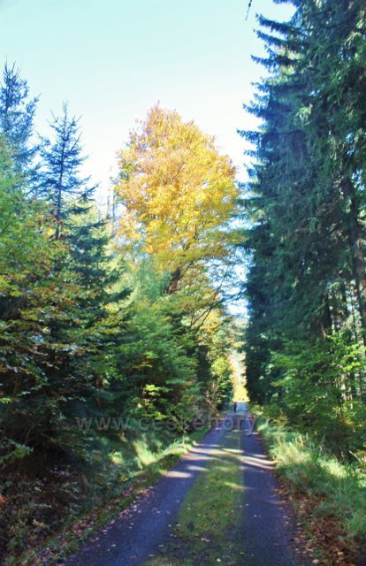 Cesta ke Zbojnické chatě