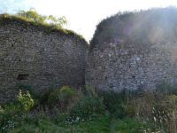 Krnov- zřícenina hradu Šelenburk