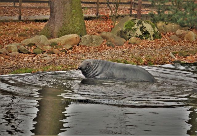 Toulky Podkrušnohorským zooparkem