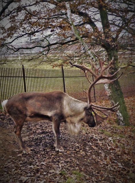 Toulky Podkrušnohorským zooparkem