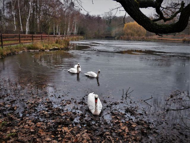 Toulky Podkrušnohorským zooparkem