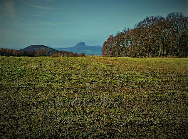 Listopadové pole s horou Bořeň na obzoru