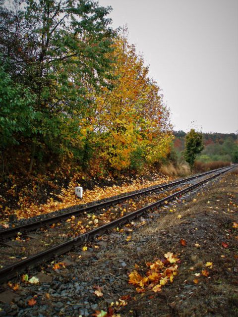 Podzimní trať na Koleč