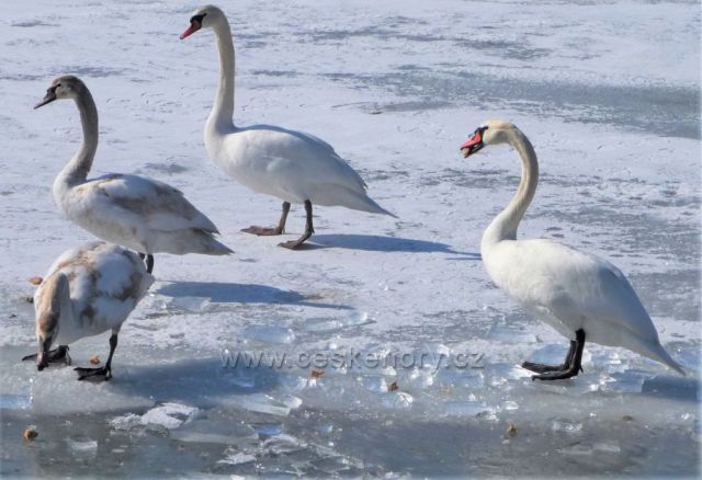 Vodní nádrž Barbora