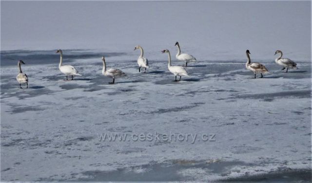 Vodní nádrž Barbora