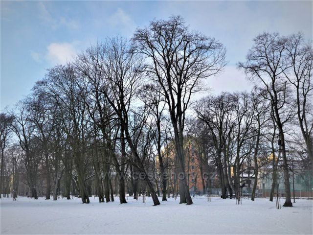 Zimní toulky po Litvínově