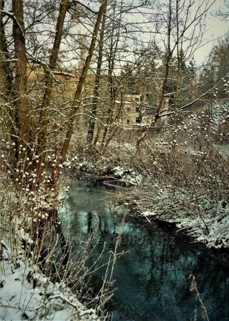 Mrazivé mokřady v Tichém údolí
(Roztoky u Prahy)