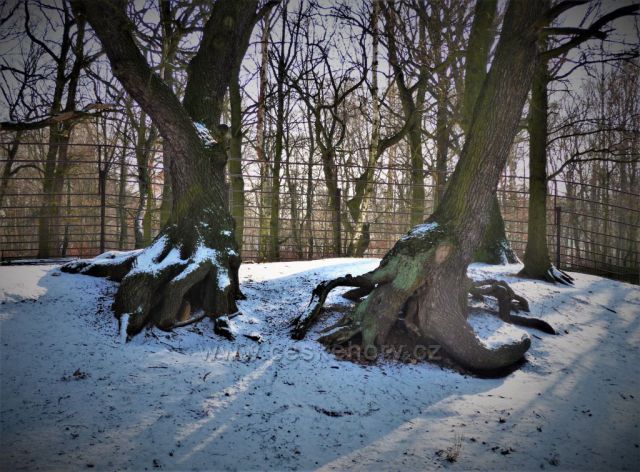 Zima v zooparku Chomutov